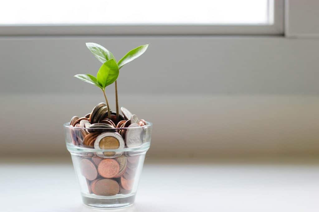 Verre rempli de pièces d'où pousse une jeune plante, littératie financière