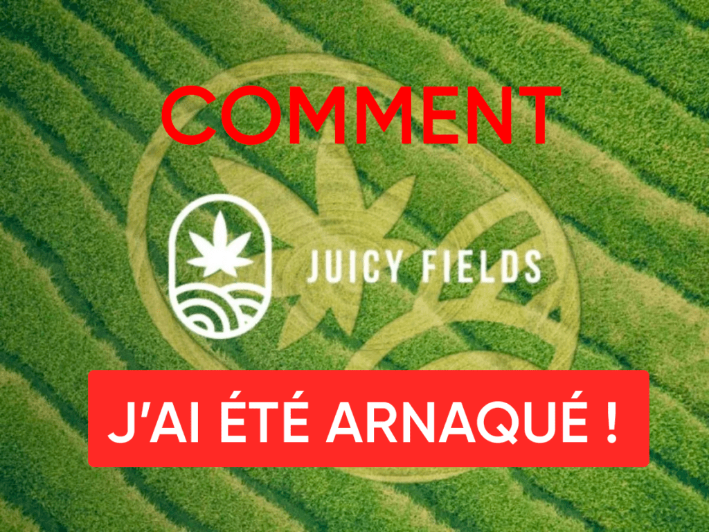 J'ai été arnaqué par Juicy Fields - L'investisseur Malin
