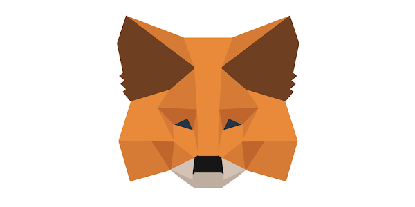 Avis sur le cold wallet Metamask - L'investisseur Malin