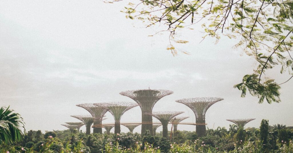 découvrez singapore, une métropole dynamique mêlant modernité et traditions. explorez ses attractions emblématiques, sa cuisine diverse et son atmosphère cosmopolite qui enchantent chaque aventurier.
