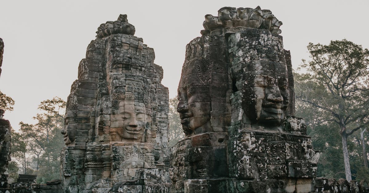 🛎 Cerca recensioni recenti per evitare spiacevoli sorprese.